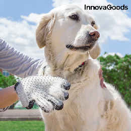 InnovaGoods børste og massagehandske til kæledyr