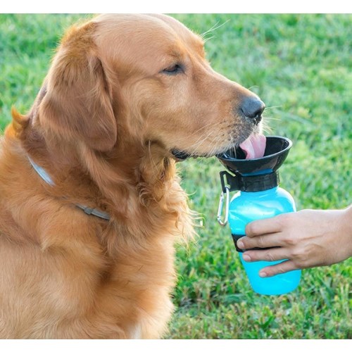 Billede af InnovaGoods Vand Dispenser Flaske til Hunde