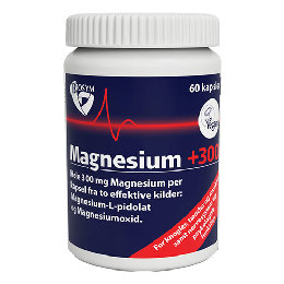 Magnesium +300 60 kap