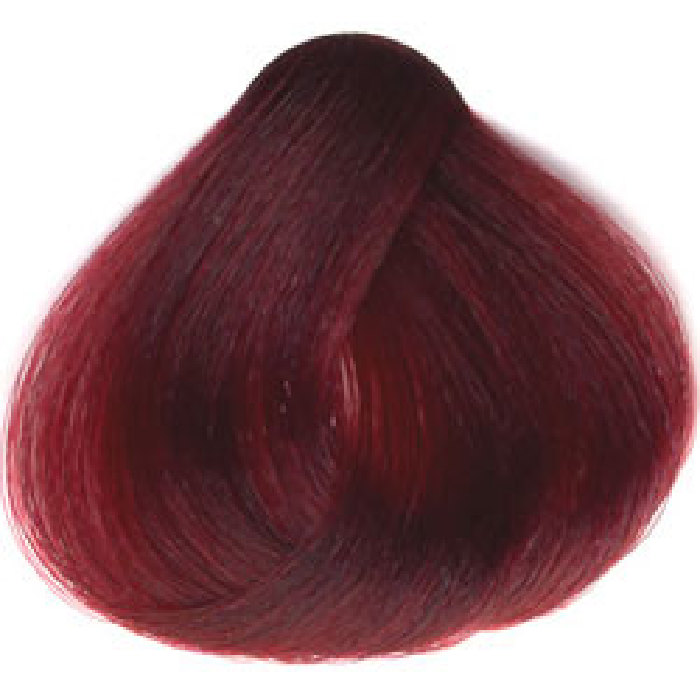 Sanotint 22 hårfarve Træbær 125 ml