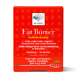 Fat Burner 120 tab