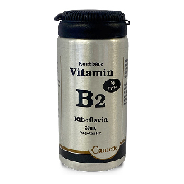 Vitamin B2 90 tab