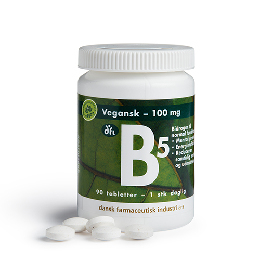 B5 100 mg 90 tab
